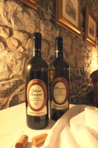 wine-of-the-month-san-andres