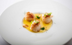 Scallop Recipe